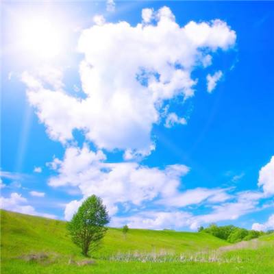 开云·体育平台下载手机版截图