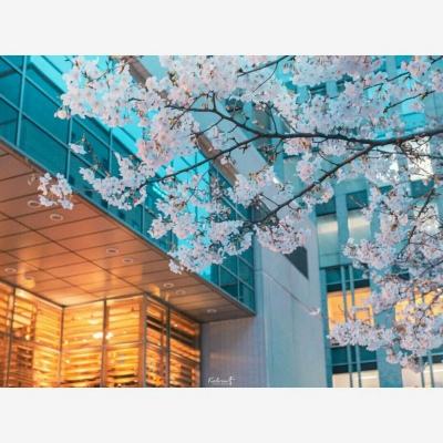 开云·体育平台下载手机版截图