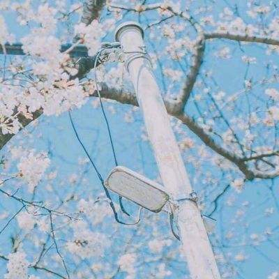 Kaiyun手机app下载