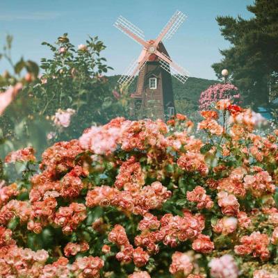 beat365中国在线体育app下载